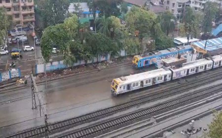 Mumbai Local Update: १२ तास मुसळधार, मुंबईत सखल भागात पाणी; ट्रान्स हार्बर विस्कळीत, मध्य-पश्चिम रेल्वेची स्थिती काय?